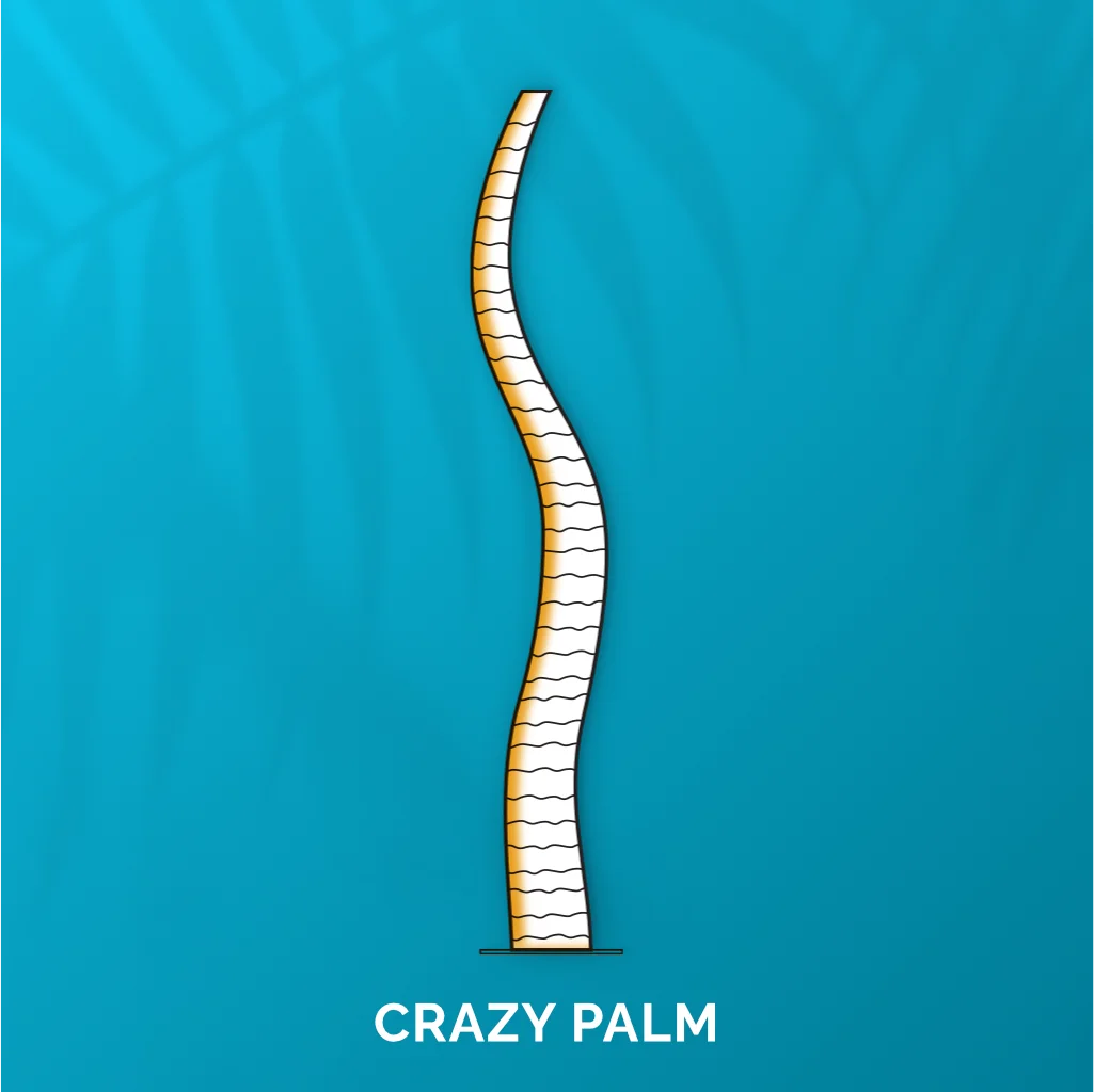Crazy Palm